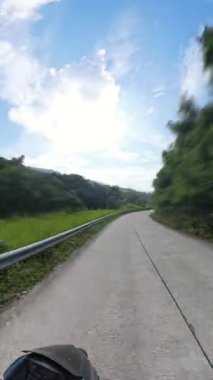 Dikey video. Boş Beton Yolu 'nun Yüksek Süratli Süratli Efekti Yoğun Yeşil Orman' dan Düşerken Hareket Bulanıklığı Temsilcisi Seyahat ve Hızlı Düşüş Konseptiyle Yakalandı