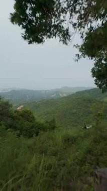 Dikey video. Yoğun Ağaçlardan Ani Uçuruma Atlama Yemyeşil Vadisi Hava Bakış Görünümünden Görüntü Bulanıklığında Görüntü Görüntü Ekstrem Uçuş Macerası Konsepti