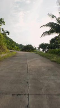 Dikey video. Yoğun bitki örtüsü boyunca alçak bir açıdan çekilen, palmiye ağaçları ve Sabah Güneşi ile bereketli bir Tropikal Tepe 'ye tırmanan Eğri Beton Yolu