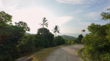 Arka planda Açık Gökyüzü ve Tropikal Ağaçlar Arasında Dönen Çimento Yolu, görülebilir günbatımı parıltısıyla hafifçe yüksek bir açıyla çekildi