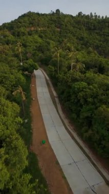Dikey video. Yoğun tropikal yamaçlardan geçen düz beton yolun hava manzarası yemyeşil ağaçlar ve yumuşak sabah ışığı altında dağınık palmiye ağaçları ile kaplı.
