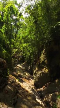 Dikey video. Dik kayalık yol dar orman geçidinde rüzgarlar esiyor taşın üzerinden akan su, orta yükseklikten çekilmiş ve bir orman yürüyüşü ve doğa kaçış temasını resmediyor.