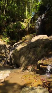 Dikey video. Su yosun kaplı kayalıklardan orman havzasına dökülür, yukarısı parlak güneş ışığıyla kaplıdır, tropik bir orman sükuneti ve şelale kaçışı temasını ifade etmek için alçak açıyla yakalanır.