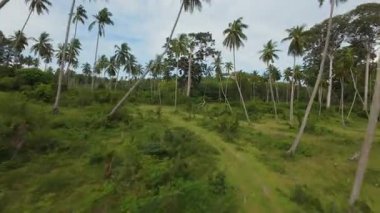 İnsansız hava aracı dar toprak patika boyunca hızla ufuk çizgisine doğru yol alır. Düşük irtifada yakalanır. Macera ve doğal keşifler için ileri hareket edilir.