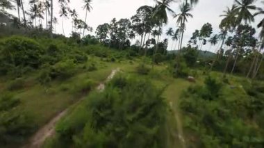Parçalı bulutlu gökyüzünün altında dağınık palmiye ağaçları ve dağ sırtları olan engin tropikal orman tepe örtüsünün yüksek hava manzarası manzara ölçeği için geniş açıyla çekildi.