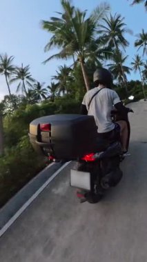 Dikey video. Gün batımında Palm Tree Yolu boyunca Scooter kullanan adam Arka Açı 'dan Yakalandı