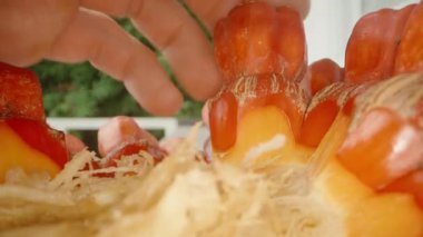 Lezzetli Kırmızı Pandanus Bölümü El Tarafından Parçaların Arasında Gerinen İplikçikler, Dolly Kaypak ve Düşük Açı, Tropikal Hasat Konsepti ile Ayrılıyor