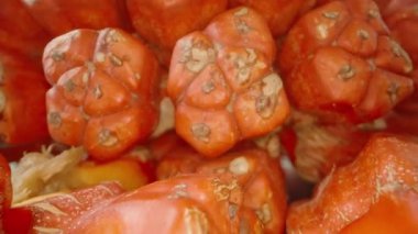 Gevşek Parçalar Yığını 'ndan Kırmızı Pandanus bölümüne uzanan Bir Elin Kapanışı, Dolly Kaydırma Hareketi ve Düşük Açılı Tropikal Toplanma Konsepti