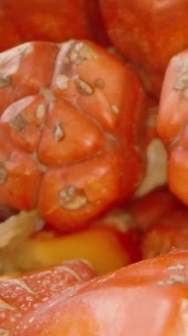 Dikey video. Gevşek Parçalar Yığını 'ndan Kırmızı Pandanus bölümüne uzanan Bir Elin Kapanışı, Dolly Kaydırma Hareketi ve Düşük Açılı Tropikal Toplanma Konsepti