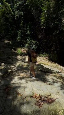 Dikey video. Rocky Ormanı 'nda Tek Başına Yürüyen Kadın Yoğun Ağaçlar, Arka Görüş, Keşif Konseptiyle çevrili