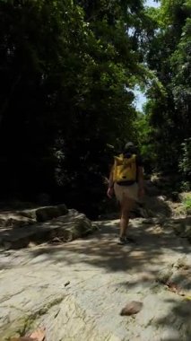 Dikey video. Kayalık Orman Kanyonu 'nda gezinen kadın Gökyüzüne, Arka Görünüm, Keşif Konseptine bakarken