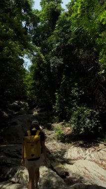 Dikey video. Kadın, Şelale Kayalıkları 'nın yakınındaki Orman Ormanı' nda Mavi Gökyüzüne bakarken İHA yükseliyor, Arka Görünüm, Macera Konsepti