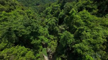 İnsansız Hava Aracı Yoğun Orman 'dan Aşağıya, Deniz ve Dağların Uzaktan Bakış Açısı, Geniş Açı Açı, Tropikal Keşif Konsepti