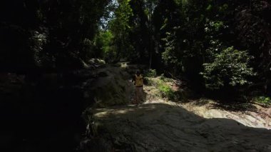 Kadın Gezgin 'in Gün Işığı Altında Rocky Şelalesi Yolu' na Tırmanması, Arka Görüş, Macera Yürüyüşü Konsepti