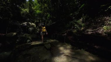 Sarı Sırt çantalı Kadın Rocky Ledge 'e tırmanıyor Orman Şelalesine doğru Gölgede, Arka Görünümde, Yürüyüş Macerası Konsepti