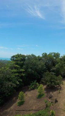 Dikey video. Berrak Mavi Gök Altında Deniz ile Dağlık Orman Manzarasının Geniş Drone Manzarası, Hava Perspektifi, Doğa Panorama Kavramı