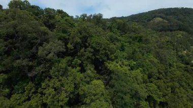 Ağaçlar ve Otlaklar Arasındaki Tepe Tapınağı 'nın Hava Aracı Çekimi Bulutlu Mavi Gök Altında, Geniş Açı, Kültürel Konsept