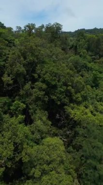 Dikey video. Ağaçlar ve Otlaklar Arasındaki Tepe Tapınağı 'nın Hava Aracı Çekimi Bulutlu Mavi Gök Altında, Geniş Açı, Kültürel Konsept