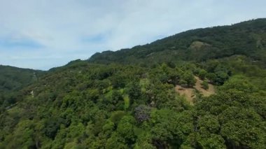 Drone Ormanın Üzerinde Uçuyor Duman ve Deniz Görülebilir, Hava Perspektifi, Tropikal Manzara Konsepti ile Uzak Vadi 'ye