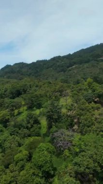 Dikey video. Drone Ormanın Üzerinde Uçuyor Duman ve Deniz Görülebilir, Hava Perspektifi, Tropikal Manzara Konsepti ile Uzak Vadi 'ye