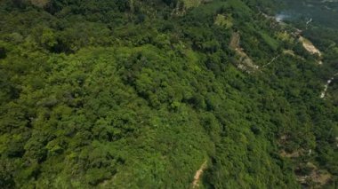 Yeşil Yapraklar ve Ağaçların Katmanları Yoğun Orman Tepesi Yukarıdan, İHA görünümlü Tropikal Orman Konsepti