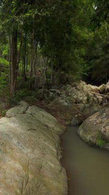 Dikey video. İHA Dağ Nehri boyunca uçuyor Orman Kayalıkları arasında uçuyor Ağaçların üzerinde, Alçak İrtifa Kenarı Görünümü, Tropikal Doğa Konsepti