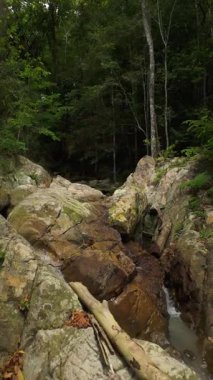 Dikey video. Küçük Şelale, Düşük İrtifa Görünümü, Tropikal Tayland Konsepti ile Yoğun Ormana doğru İnsansız Hava Aracı Uçuşu