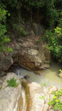 Dikey video. Küçük Orman Şelalesinin Hava Görünümü Etrafı Kayalar ve Yoğun Bitkilerle çevrili Havuza Dökülüyor, Tepeden Çekim, Tayland Konsepti