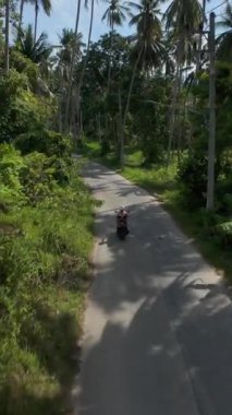 Dikey video. İnsansız hava aracı Palm Trees 'den inip Orman Yolu' nda scooter süren bir kadını kovaladı ve geçti, Düşük Açı İzleme, Tayland Samui Adası Tropik Macera Konsepti