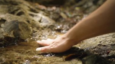 Kadın, Orman Ucuyla Temiz Su 'ya Dokunuyor Yavaş Çekimde Yakından Çekilmiş Doku ve Duygu, Doğa Bağlantısı Konsepti