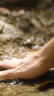 Dikey video. Kadın, Orman Ucuyla Temiz Su 'ya Dokunuyor Yavaş Çekimde Yakından Çekilmiş Doku ve Duygu, Doğa Bağlantısı Konsepti