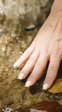 Dikey video. Orman Deresi 'ndeki Pürüzsüz Kaya üzerinde Akan Su Yüzeyi Üzerine Elini Koyan Bir Kadının Yavaş Hareket Sahnesi, Doğal Duyusal Tecrübe Konsepti