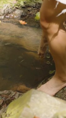 Dikey video. Yalın Ayaklı Kadın Yavaş Çekimde Akış Suyu 'na Dokunuyor, Orman Havuzu' nda Su Sıçratıyor, Doğa Teması Tazeleniyor