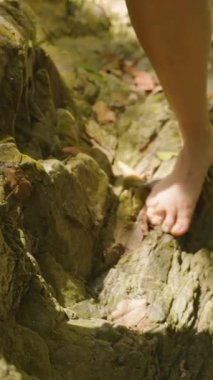 Dikey video. Cilt dokusu ve Doğal Yüzey, Sabit Bağlantı Konseptine Odaklanmış Yavaş Hareketli Orman Kayası Yolu 'ndaki Yalınayak Adımlarının Arka Bakış Görünümünü Kapat