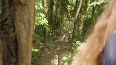 Tayland 'da Dar Orman Patikası boyunca tepenin aşağısında Yürürken Orman Sarmaşığı Tutan Kadın' ın Arka Görünümü, Ağaçlar Arasında Parlak Işık, Dikkatli İniş kavramı