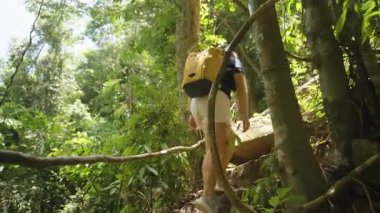 Sarı Sırt çantalı Kadın Parlak Güneş Işığı, Düşük Açı, Efor ve Keşif Konsepti Orman Yapraklarıyla Kaplanmış Antik Taş Merdivenlere Tırmanır