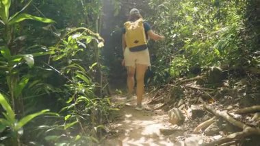 Sarmaşıklar ve Gölgeler, Arka Açı, Keşif ve Yaban Hayatı Konseptiyle çevrili Yoğun ve Karanlık Orman Yollarında Yürüyen Kadın