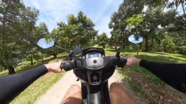 Palmiye ağaçları ve muz bitkileriyle çevrili, İlk Perspektif, Tropikal Macera ve Açık Hava Keşif Konsepti 'nden Görülen Scooter Sürücüsü