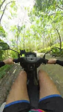 Dikey video. Kirli Yoldaki Okaliptüs Ormanında Scooter Süren Adam İlk Perspektif, Doğa Kaçışı ve Tayland 'da Tropikal Keşif Konsepti' nden Yakalandı
