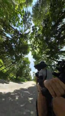 Dikey video. Erkek ve kadın palmiye ağaçlarının altında parlak güneşe doğru scooter sürüyor. Dairesel gökyüzü etkisi, 360 derecelik kamera, tropikal çevre, Ada Yolculuğu Konsepti