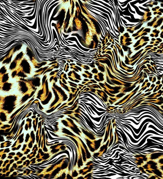 Leopardo Zebra Pele Fundo — Fotografia de Stock