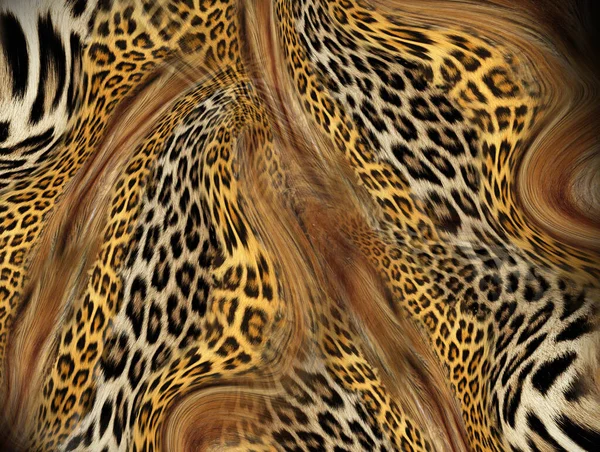 Prémróka Leopárd Textúrája — Stock Fotó
