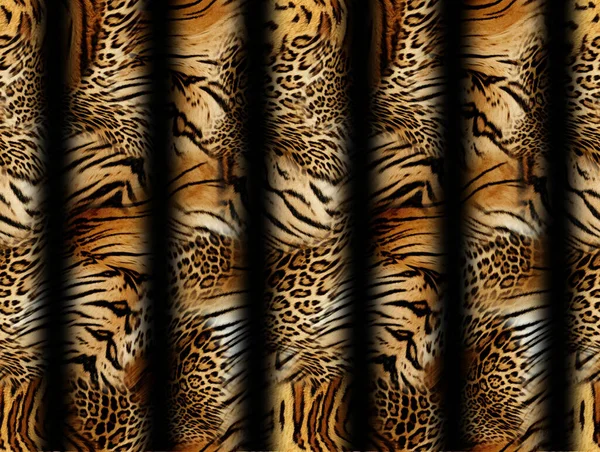 Τίγρης Και Leopard Υπόβαθρο Δέρματος — Φωτογραφία Αρχείου