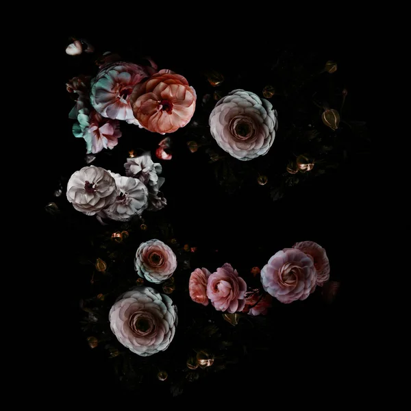 Schöne Rosa Blüten Und Geometrisches Muster Stockbild