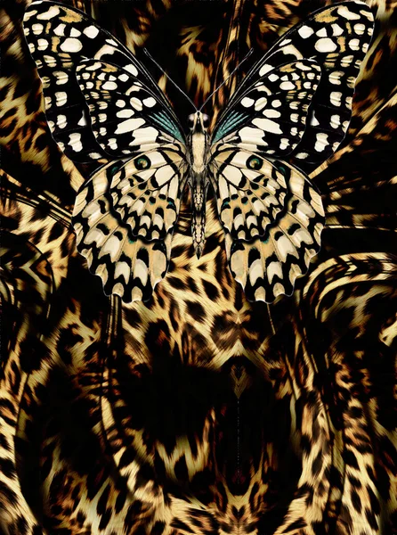 Метелик Фоні Шкіри Леопарда Друку — стокове фото