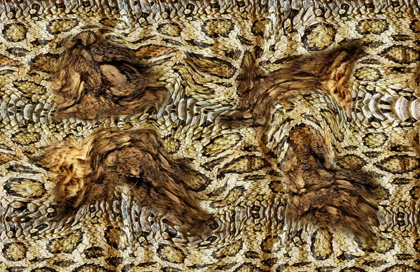 Wzór Skóry Węża Tekstury Modny Nadruk — Zdjęcie stockowe