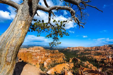 Bryce Kanyonu Ulusal Parkı, Utah, ABD