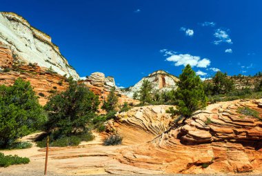 Zion Ulusal Parkı, Utah, ABD. 05 / 13 / 2023: Zion Ulusal Parkı, Utah, ABD.