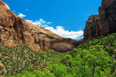 Zion Ulusal Parkı, Utah, ABD. 05 / 13 / 2023: Zion Ulusal Parkı, Utah, ABD.