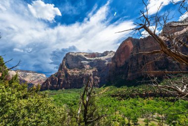 Zion Ulusal Parkı, Utah, ABD. 05 / 13 / 2023: Zion Ulusal Parkı, Utah, ABD.